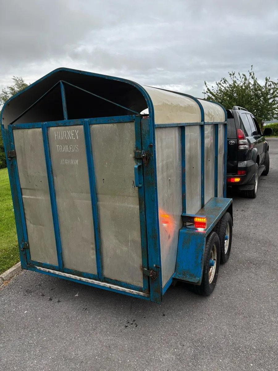 8x4”6 Cattle box - Image 4