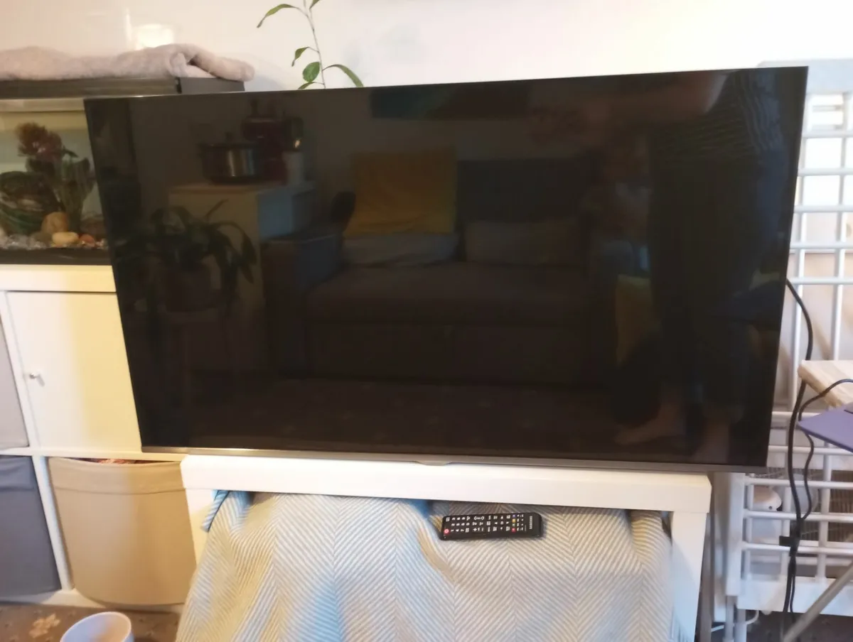 Samsung 48" TV