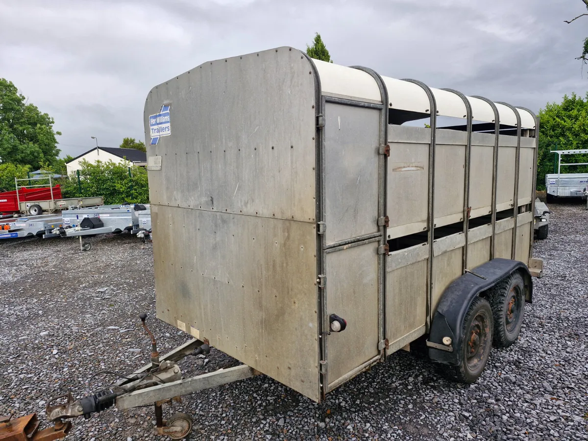 IFOR WILLIAMS   12' x 6 ' TRAILER WITH DECKS - Image 3