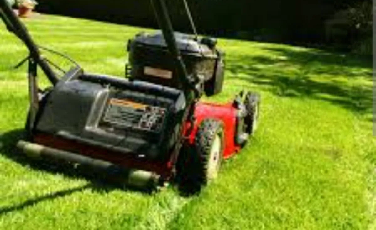 grass cutting service - Image 1
