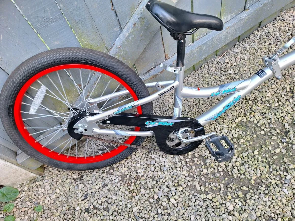 Tag along Trailer Bike - Image 1