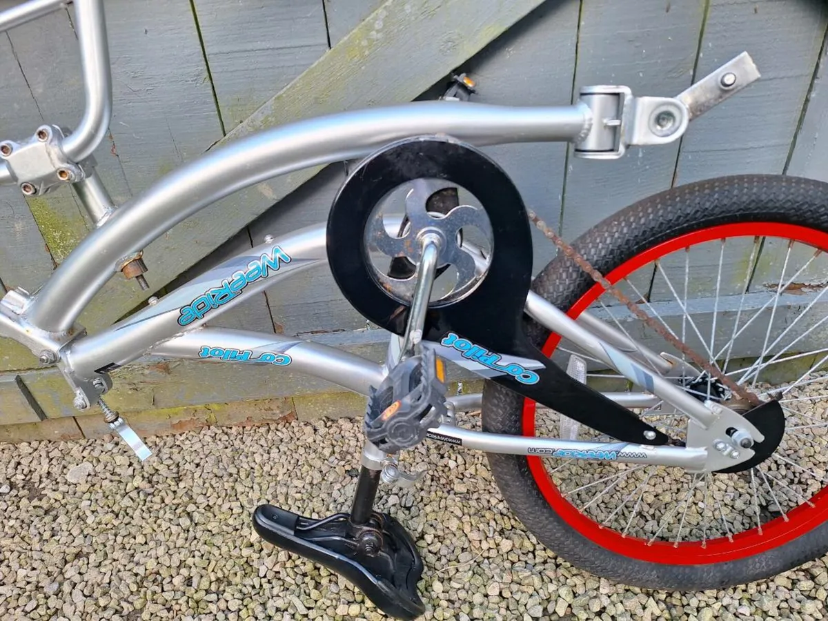 Tag along Trailer Bike - Image 3