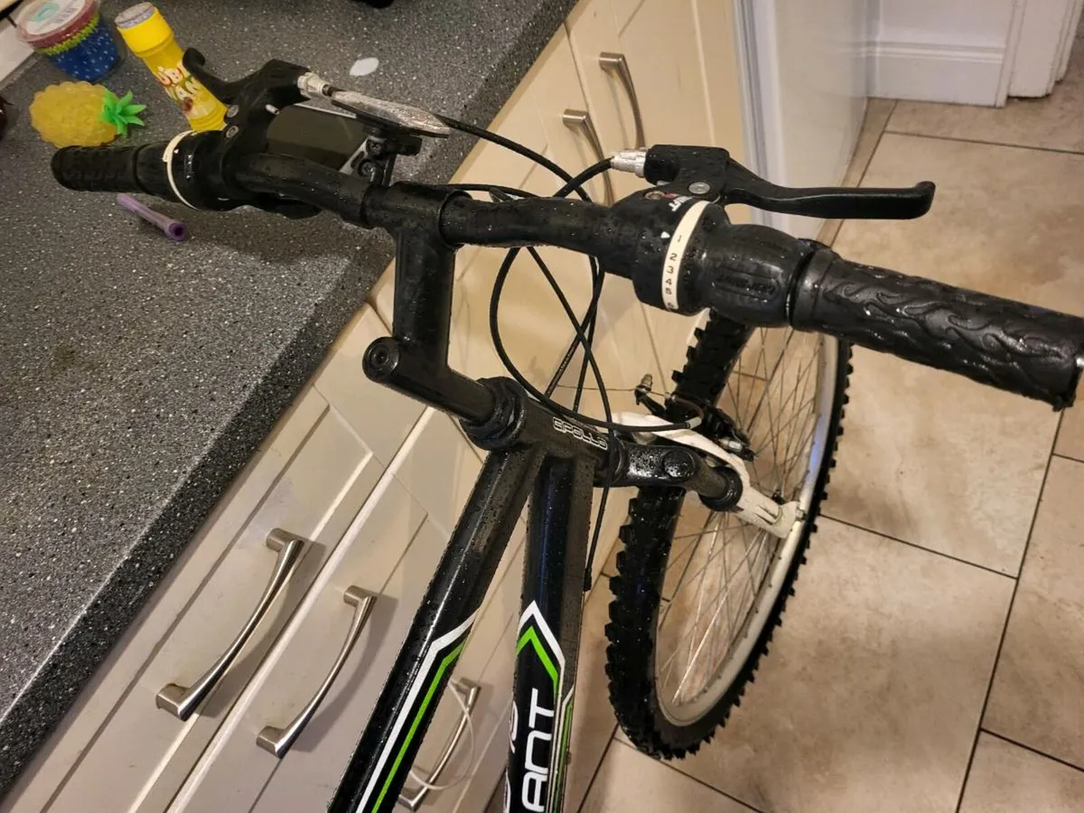 Bike Mens mountain bike - Image 2