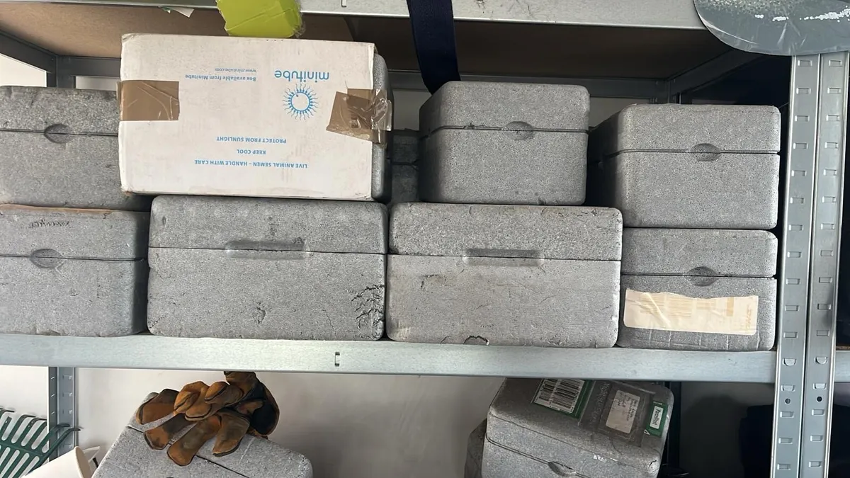 Boxes - Image 2