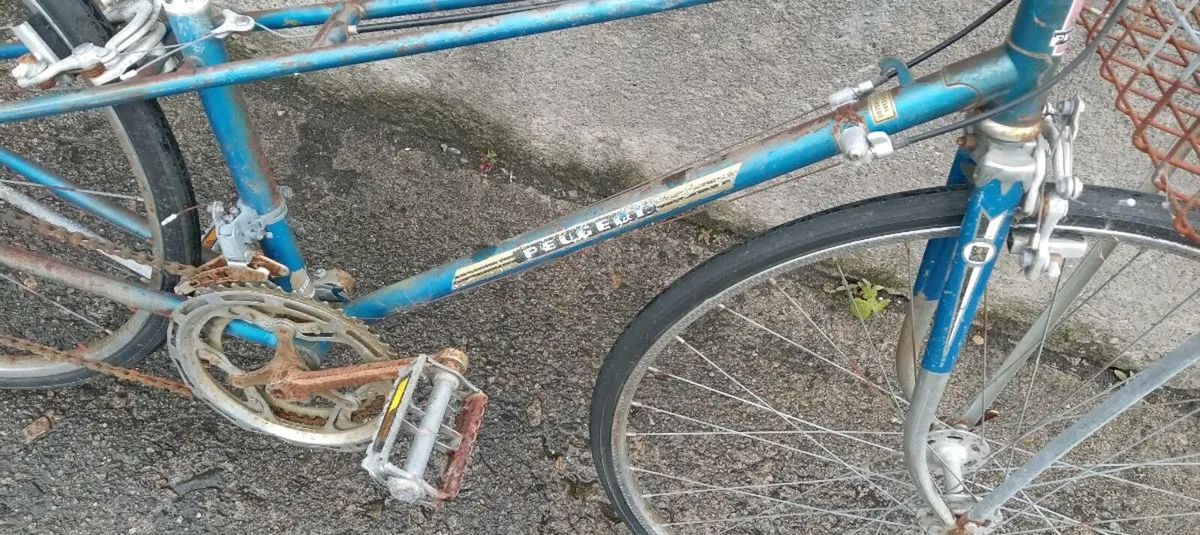Bike - Image 1