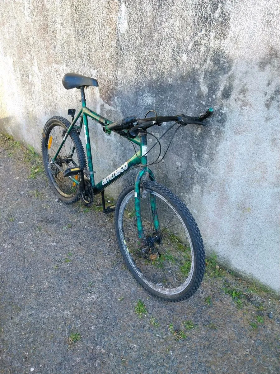 Men's mountain bike - Image 2