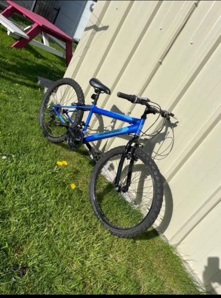 Kids mountain bike - Image 1