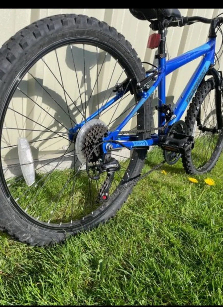 Kids mountain bike - Image 2