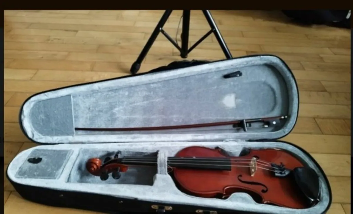 Violin/ fiddle - Image 1