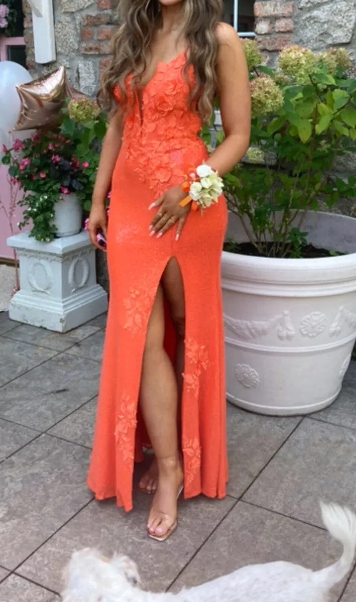 Debs Dress - Image 4