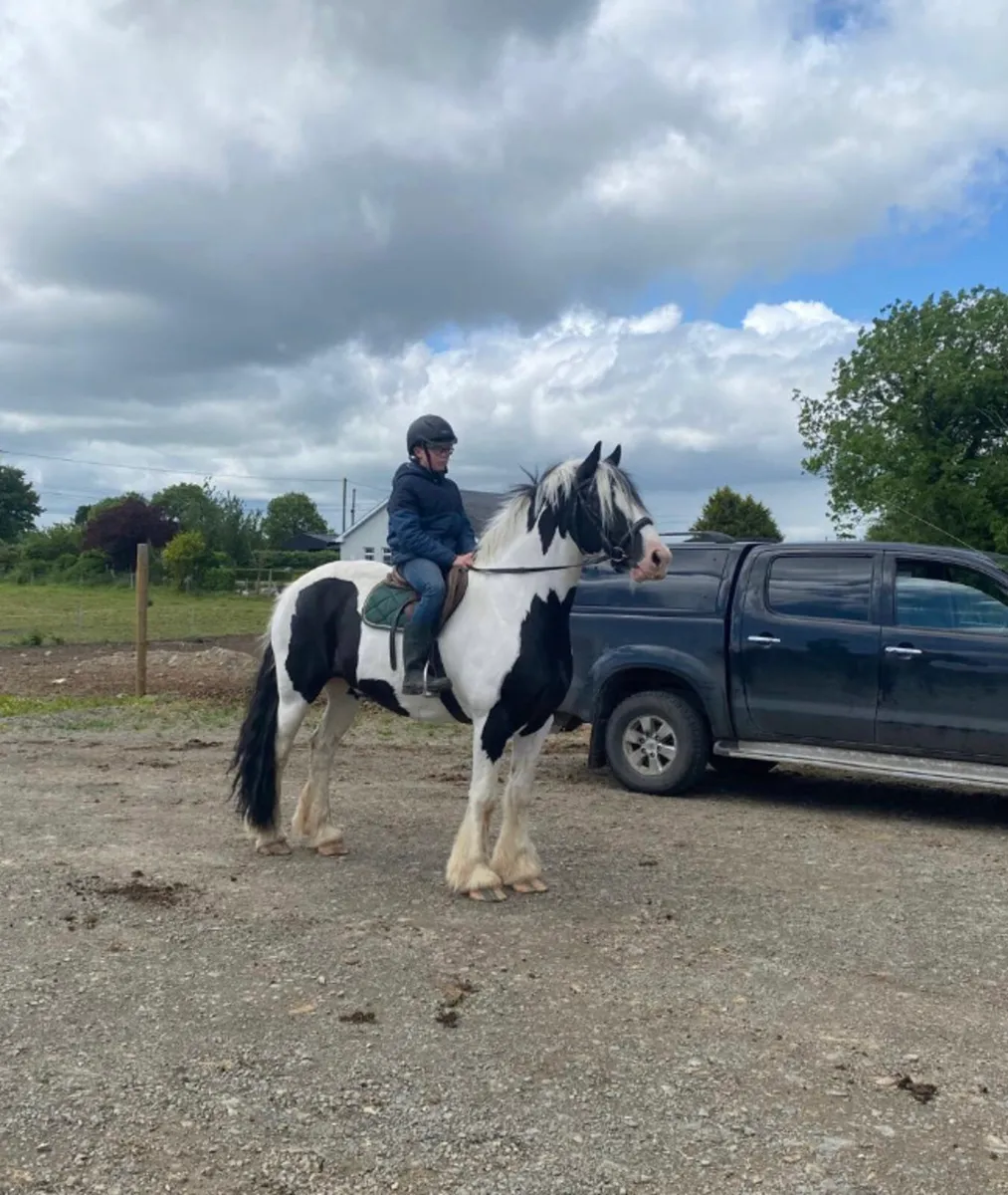 Cavan Sales June 4th Lot 52A - Image 1