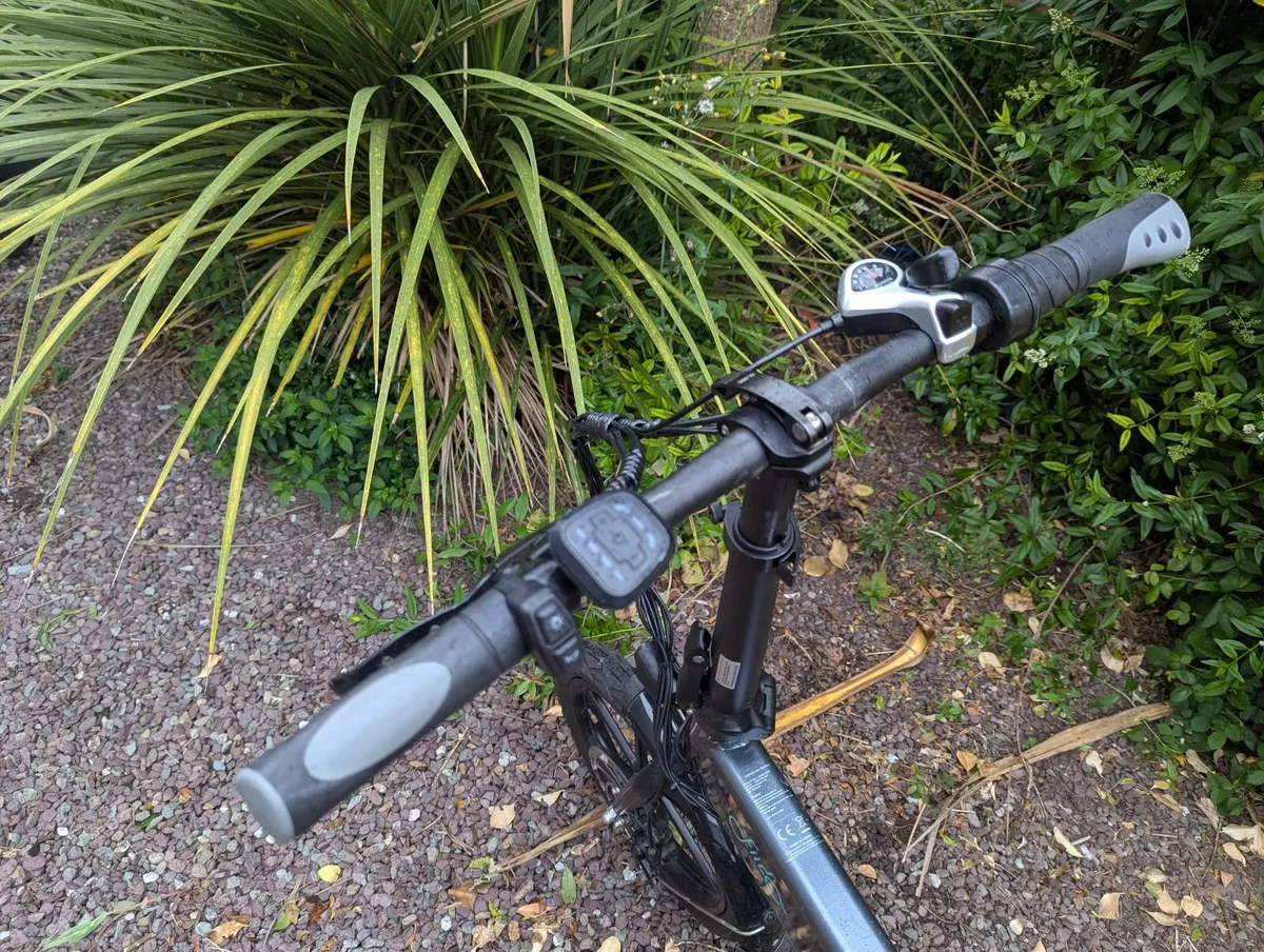 Electric Bike Fiido D2S(new battery) - Image 4