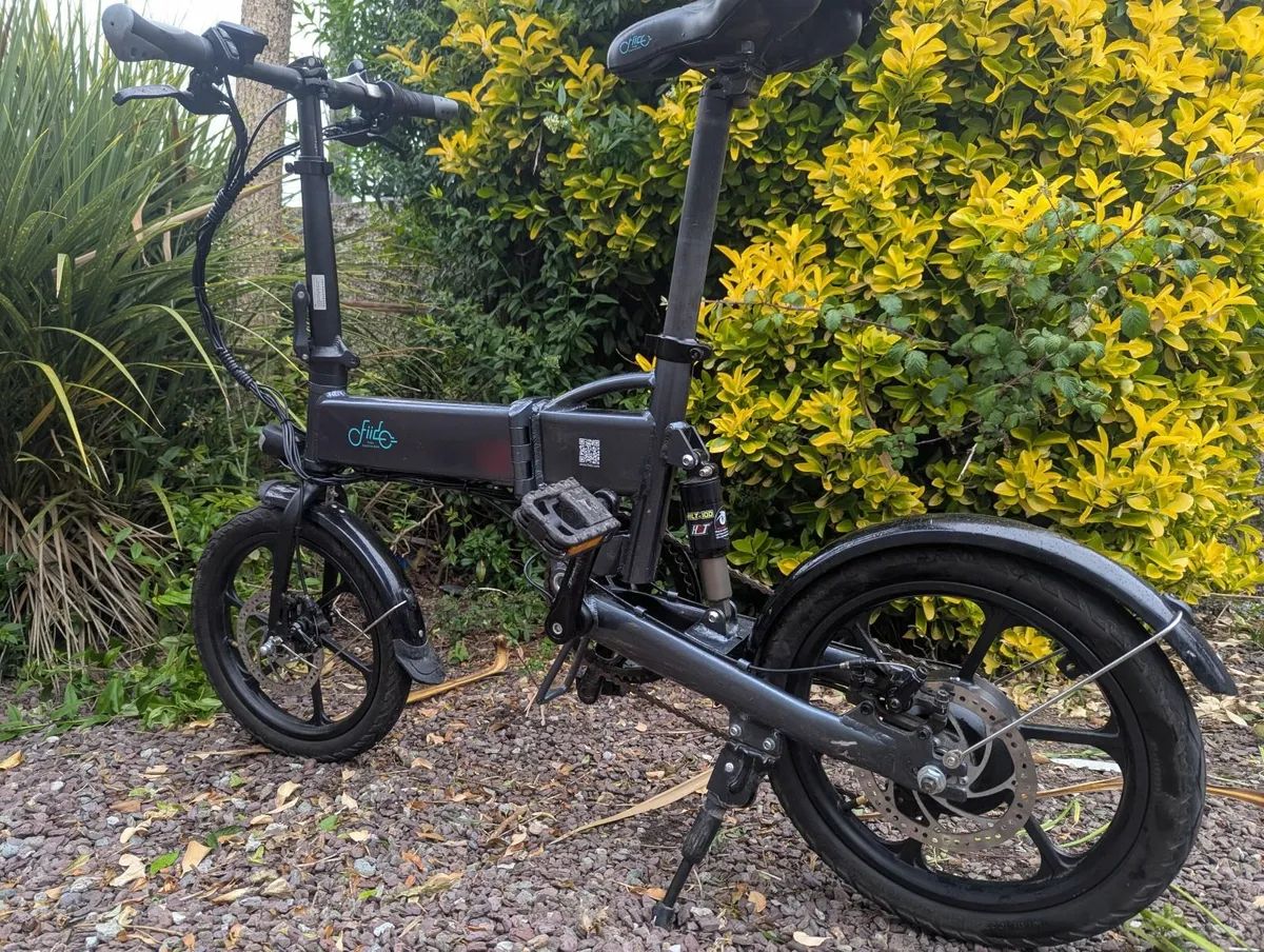 Electric Bike Fiido D2S(new battery) - Image 1