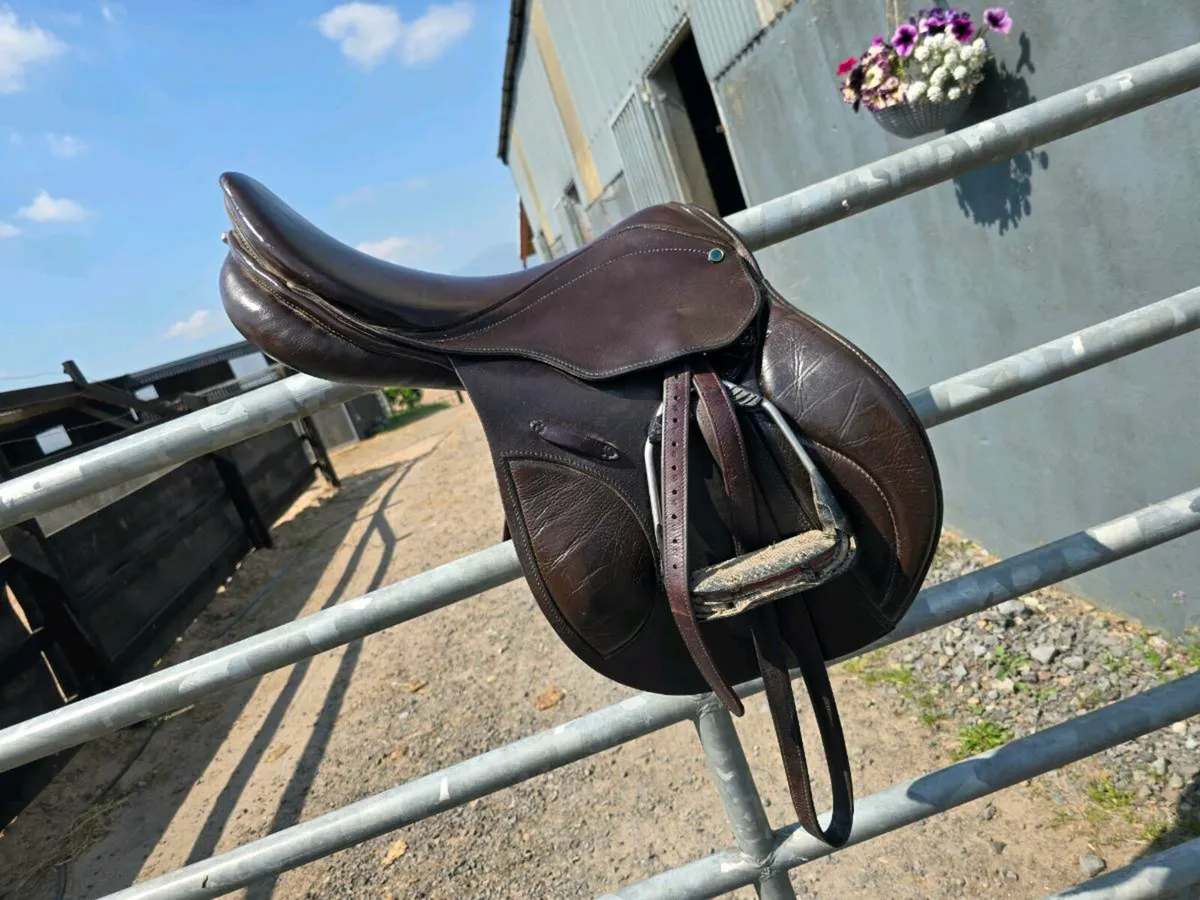 Stuebben Genesis Jumping Saddle - Image 2