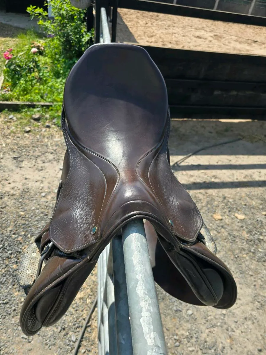 Stuebben Genesis Jumping Saddle - Image 3