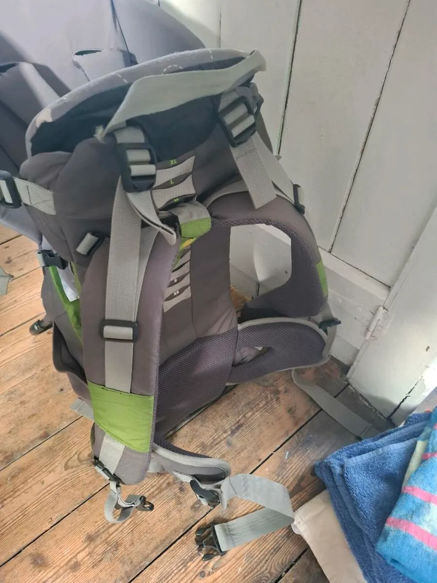 LittleLife Adventurer Baby Carrier - Image 2