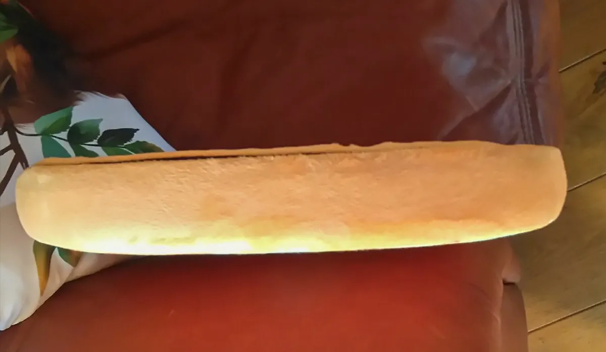FLAT CUSHION, LOOKS LIKE A SLICE OF ORANGE (NEW). - Image 3