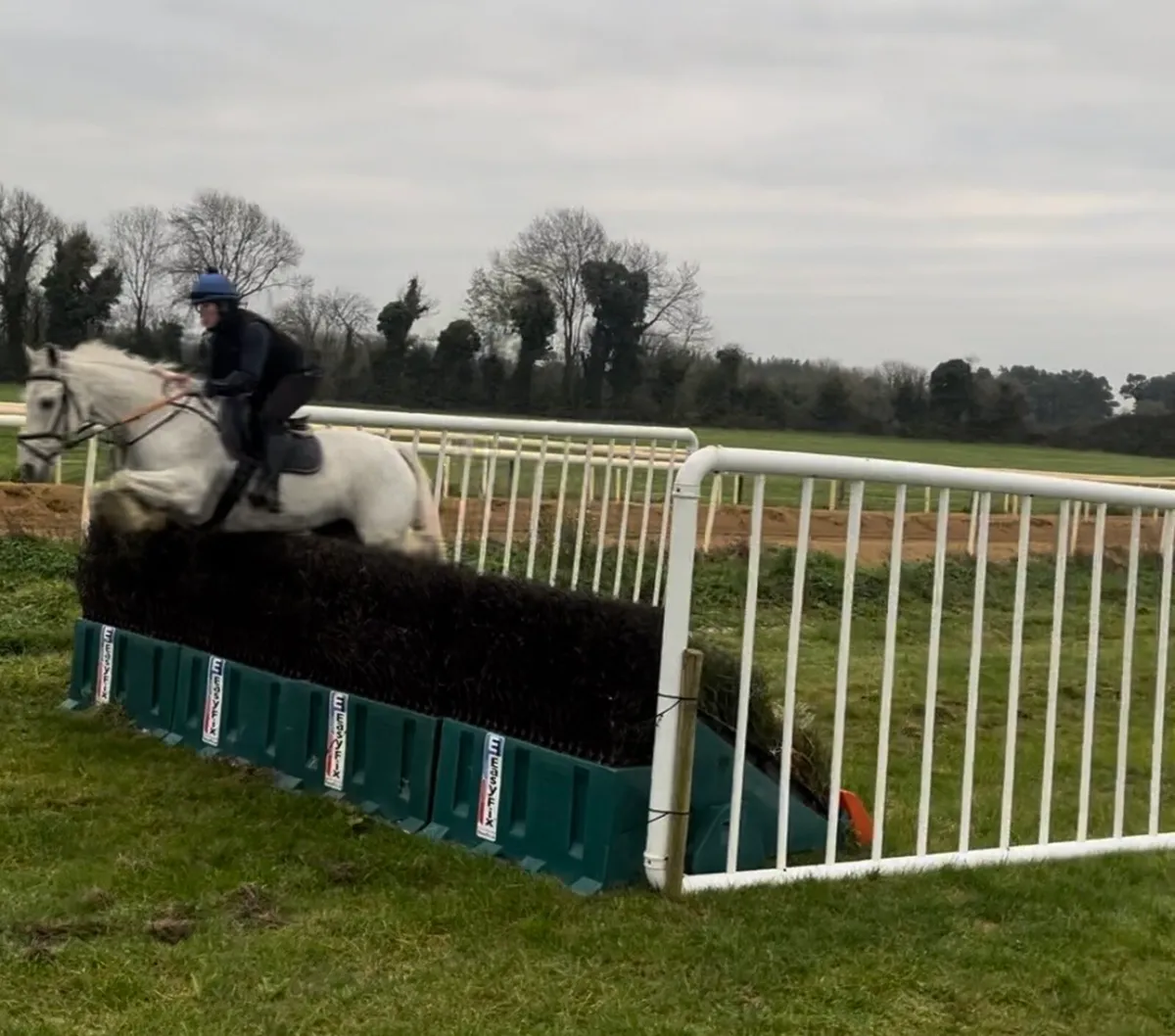 15.2hh Fun mare - Image 4