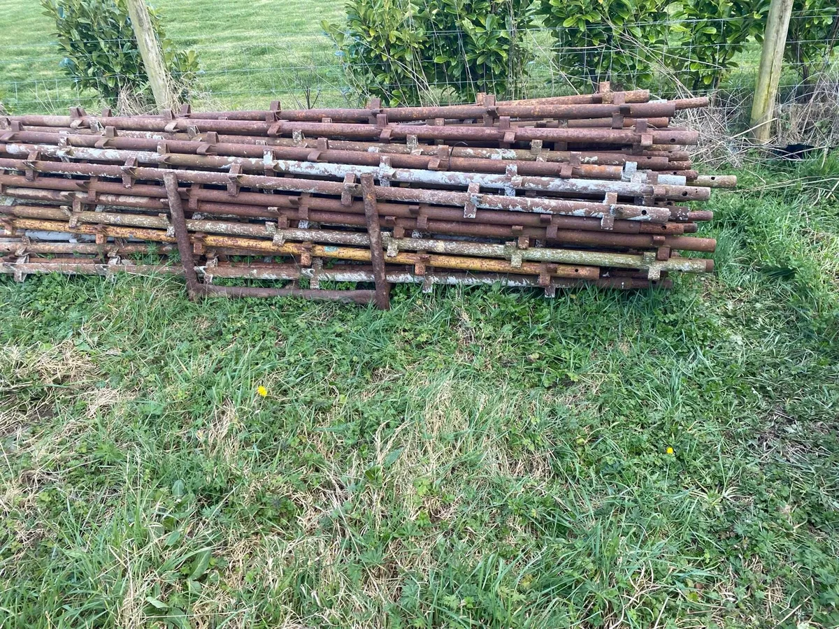 Scaffolding - Image 1