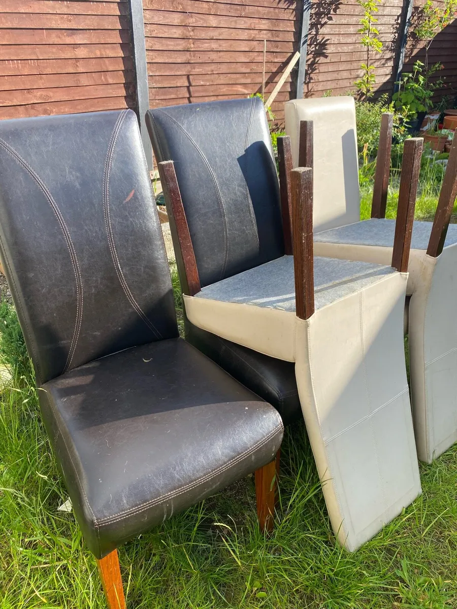Kitchen Chairs - Image 1
