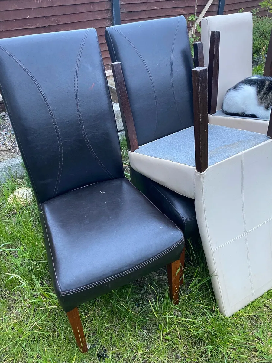 Kitchen Chairs - Image 3