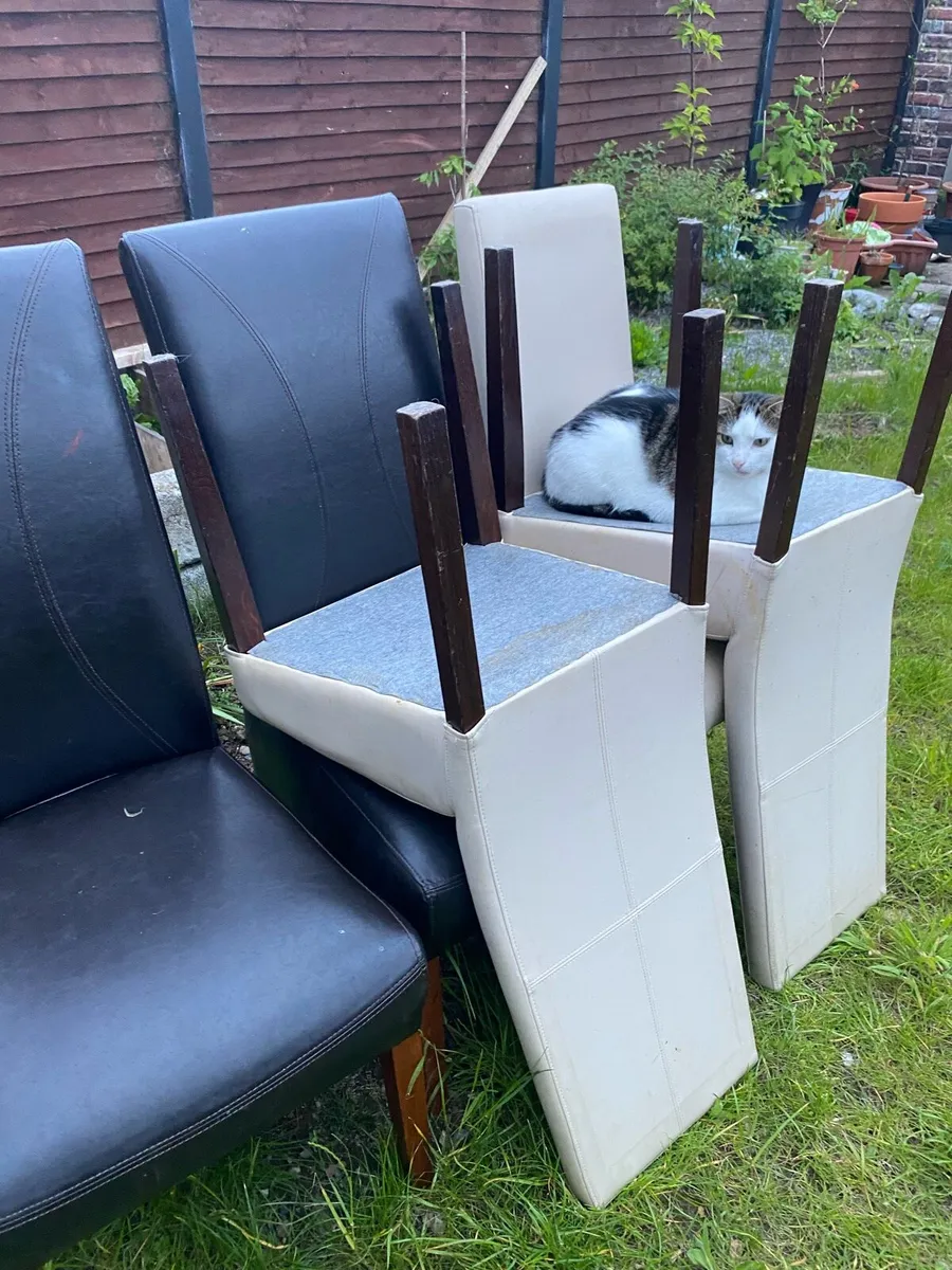 Kitchen Chairs - Image 4