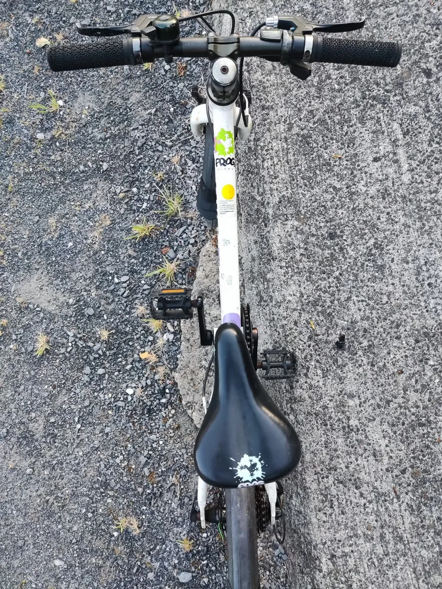 Bike - Frog 55 - 20 inch - Image 2