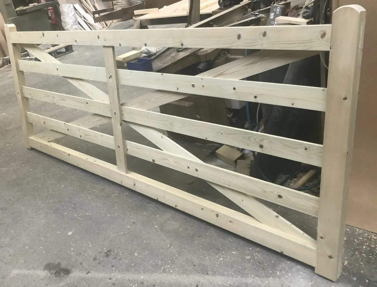 Field Gate Nutgrove Single- 10 foot - Image 2
