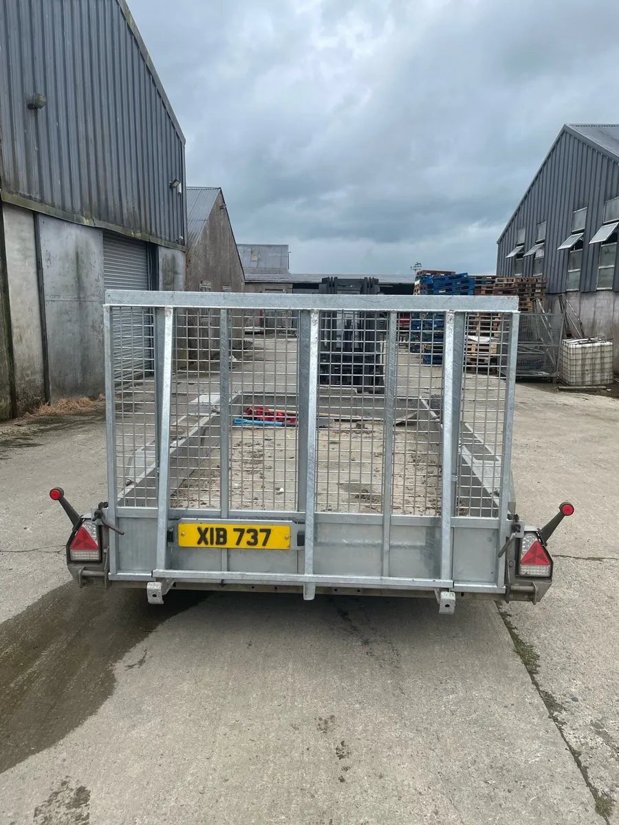 Nugent 12x6 plant trailer - Image 4