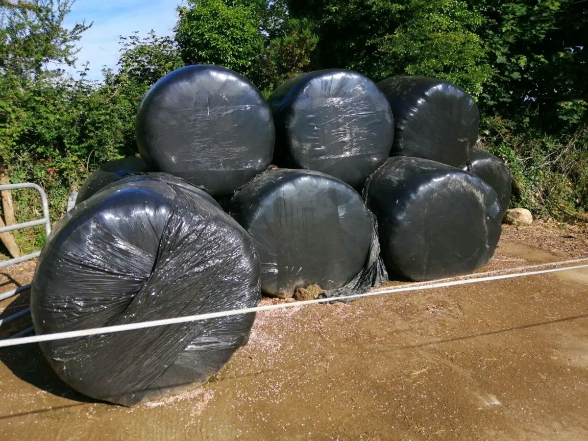 Haylage