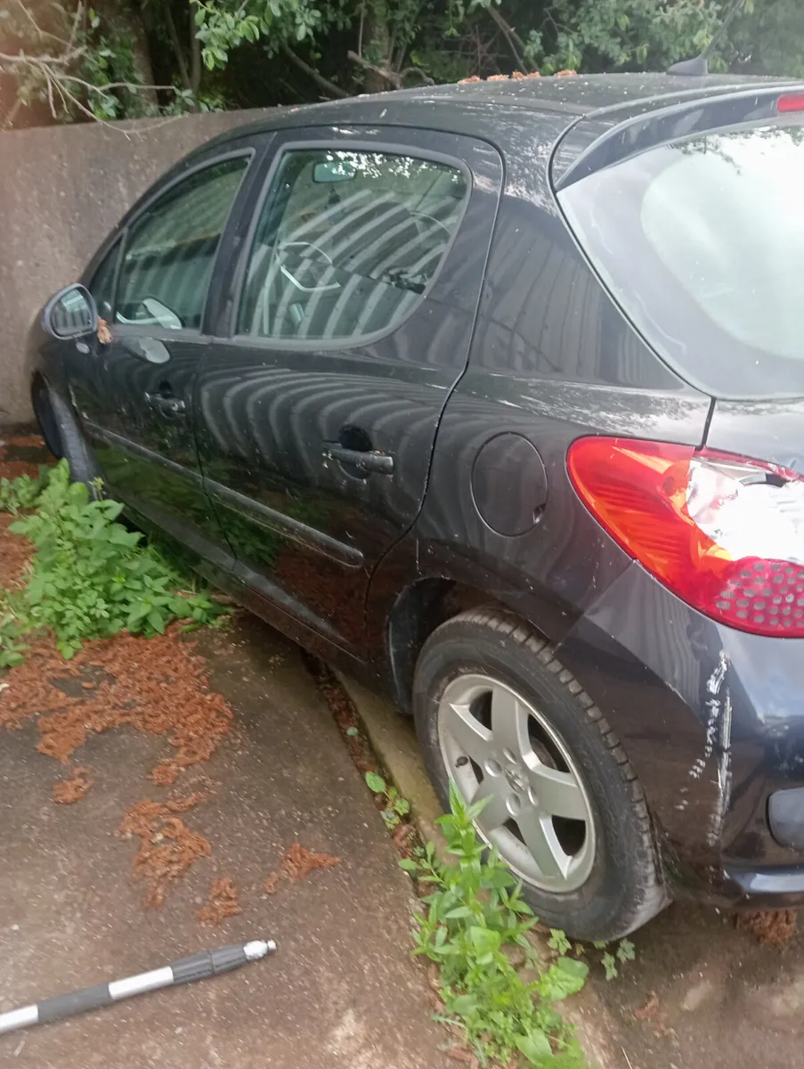Peugeot 207 and 308 - Image 4
