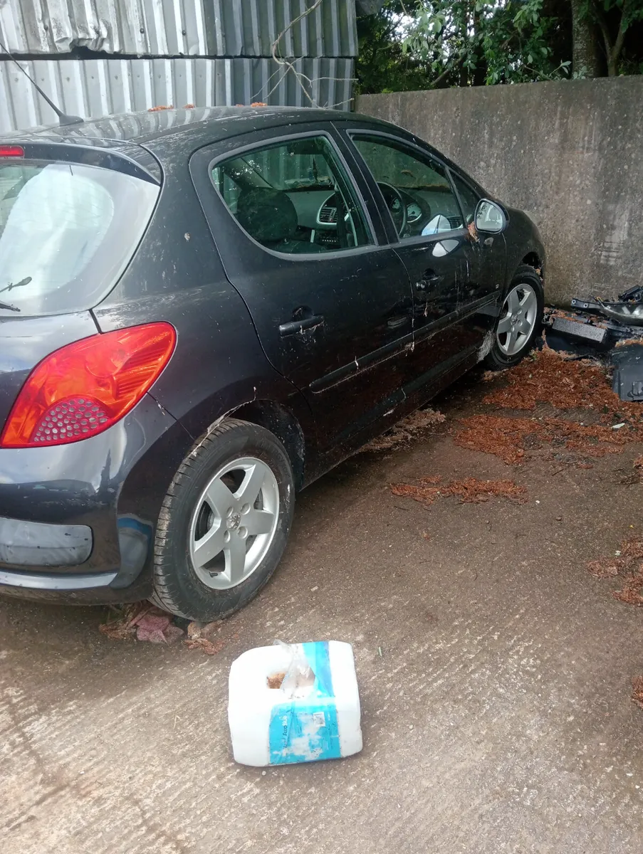 Peugeot 207 and 308 - Image 3