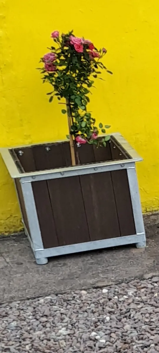 Flower boxs - Image 2