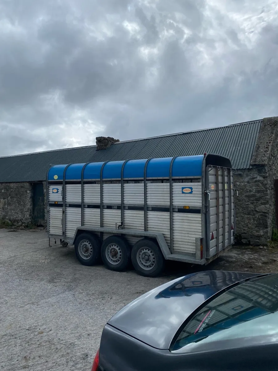 Porter cattle trailer - Image 2