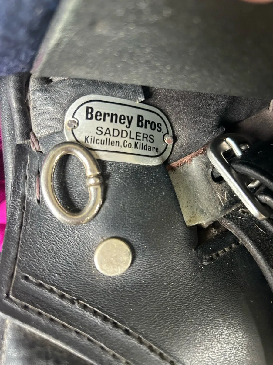 Saddle & tack for sale - Image 1