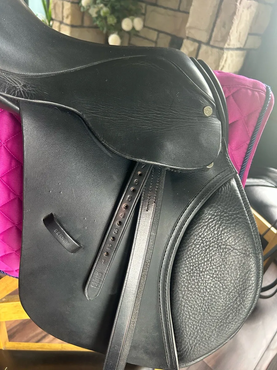 Saddle & tack for sale - Image 3