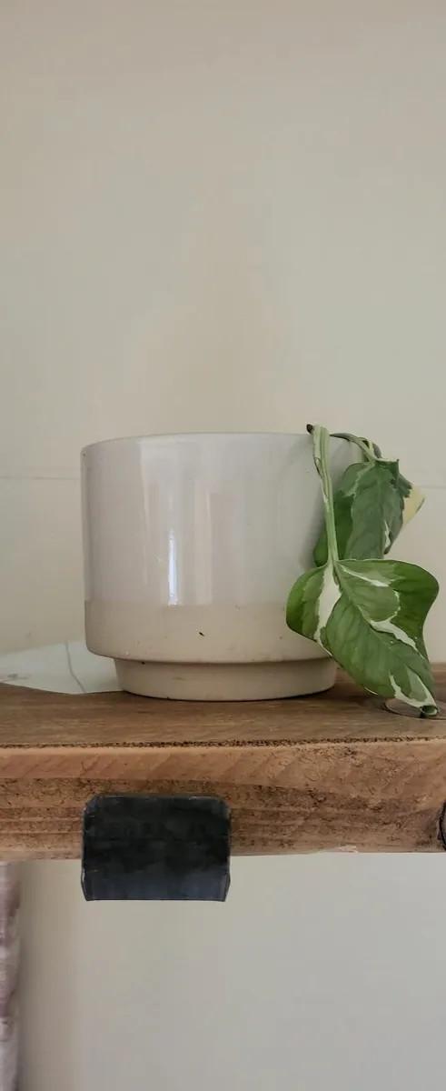 Plant pot - Image 1