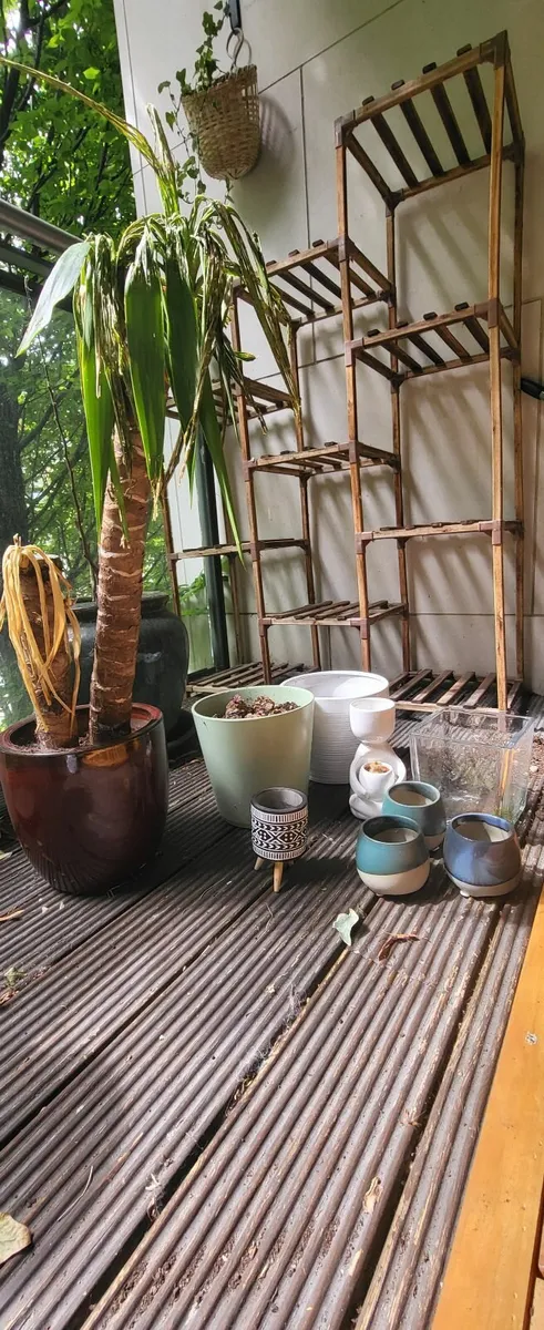 Plant pot - Image 2