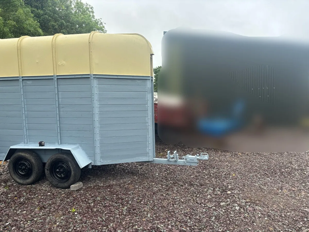 Horse Box - Image 4