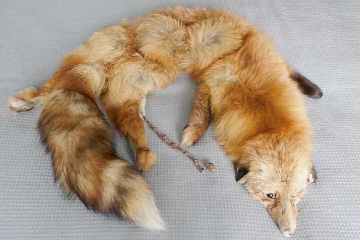 Fox and Mink Stoles - Image 2