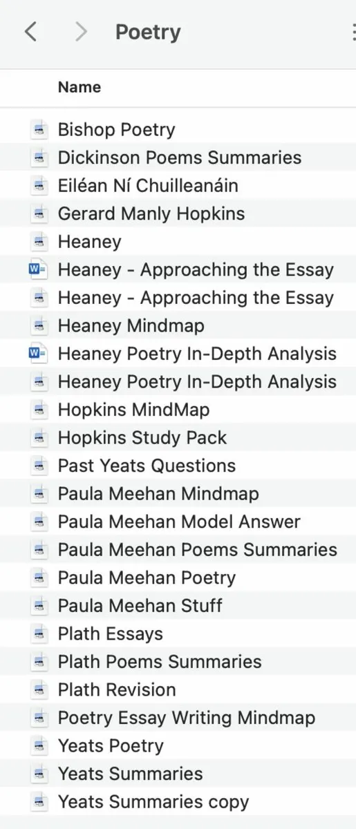 Leaving Cert English Institute of Education Notes - Image 4