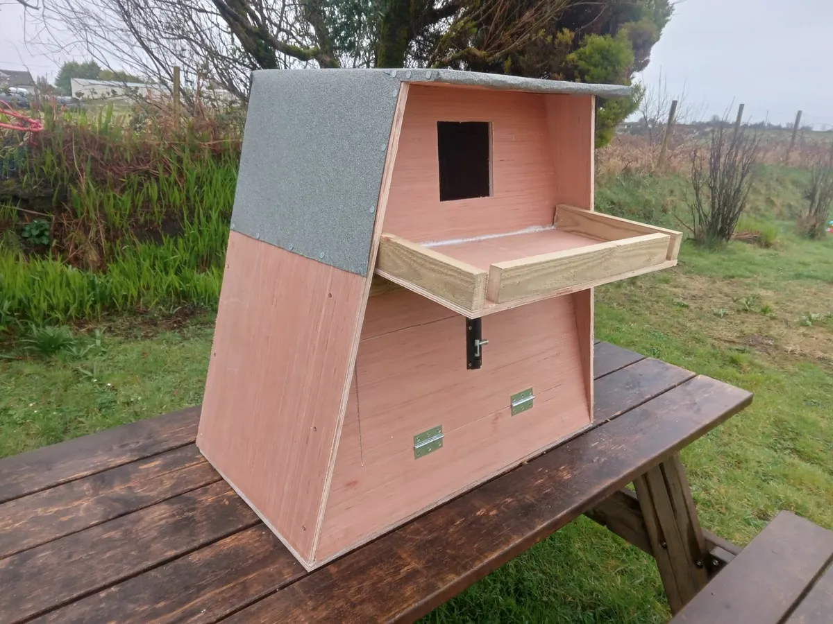 ACRES Approved Owl Boxes - 💥Nationwide Delivery💥 - Image 4