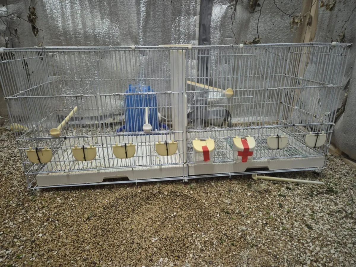 Cages