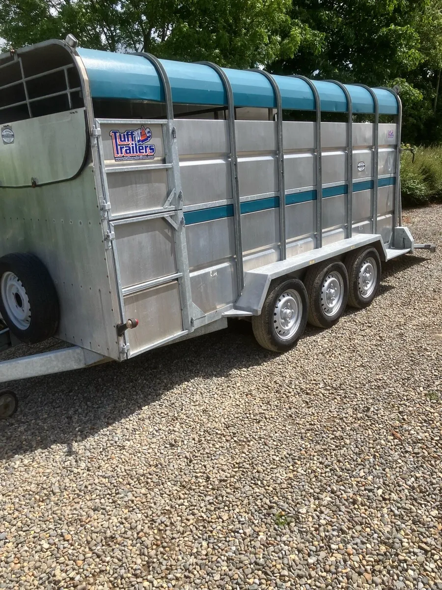 Trailer - Image 2