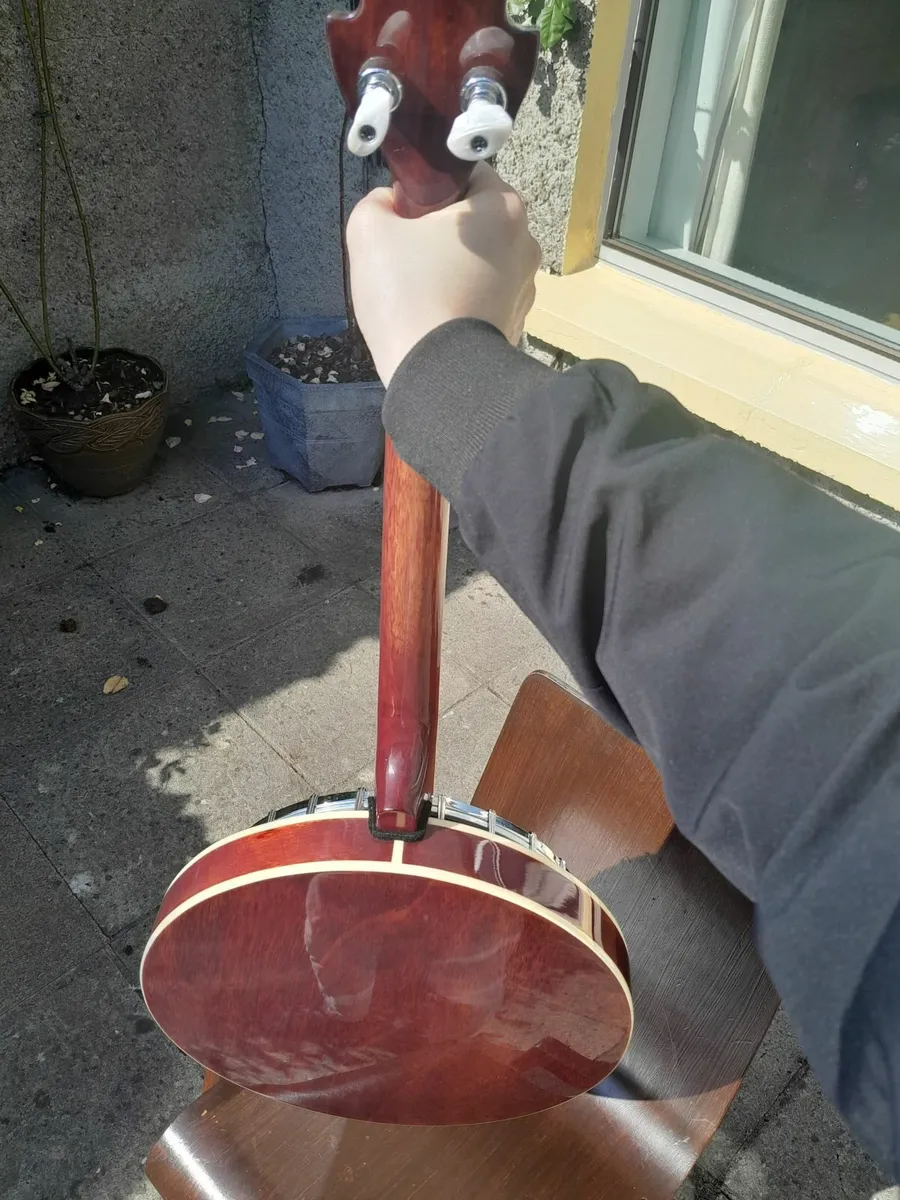 McNeela "The Celt" 19 Fret Tenor Banjo - Image 3