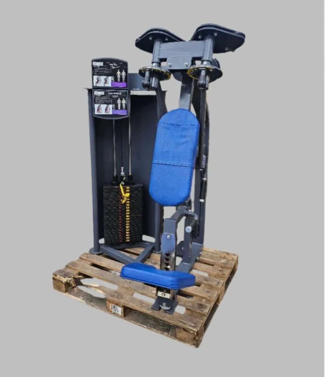 Indigo fitness rear delt pec fly - Image 1