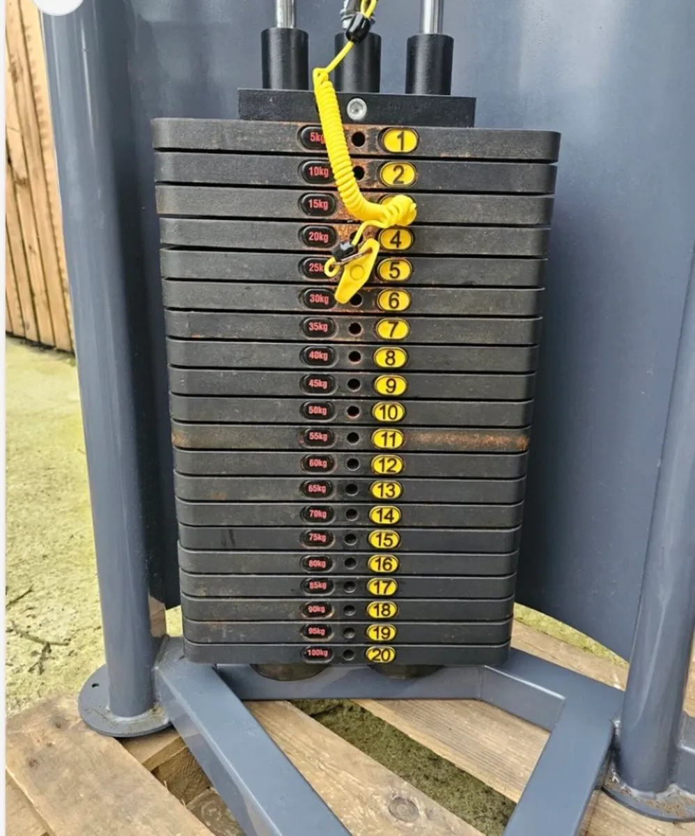 Indigo fitness rear delt pec fly - Image 4