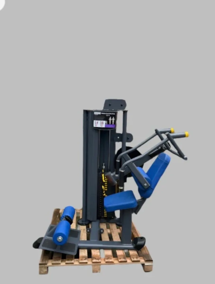 Indigo abdominal machine - Image 2