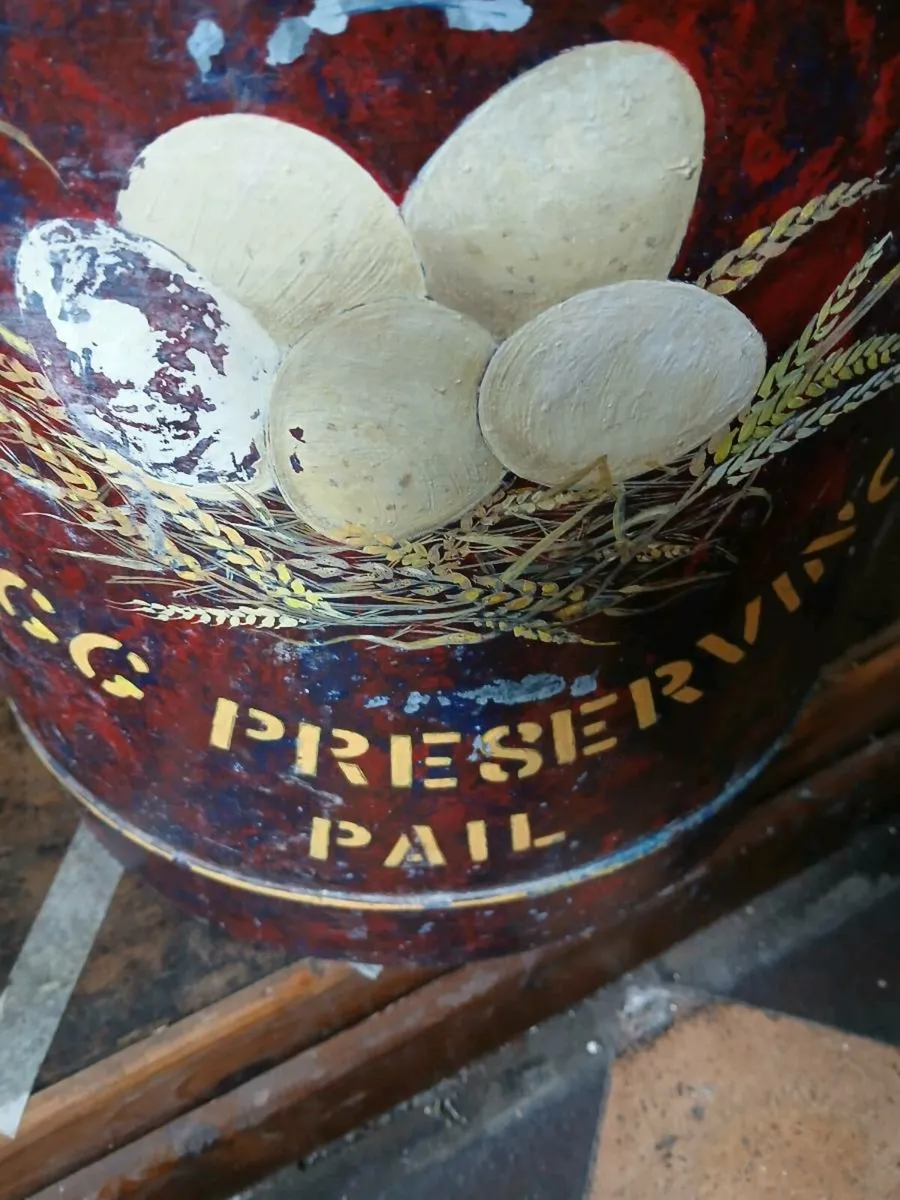 Large egg storage bucket - Image 3