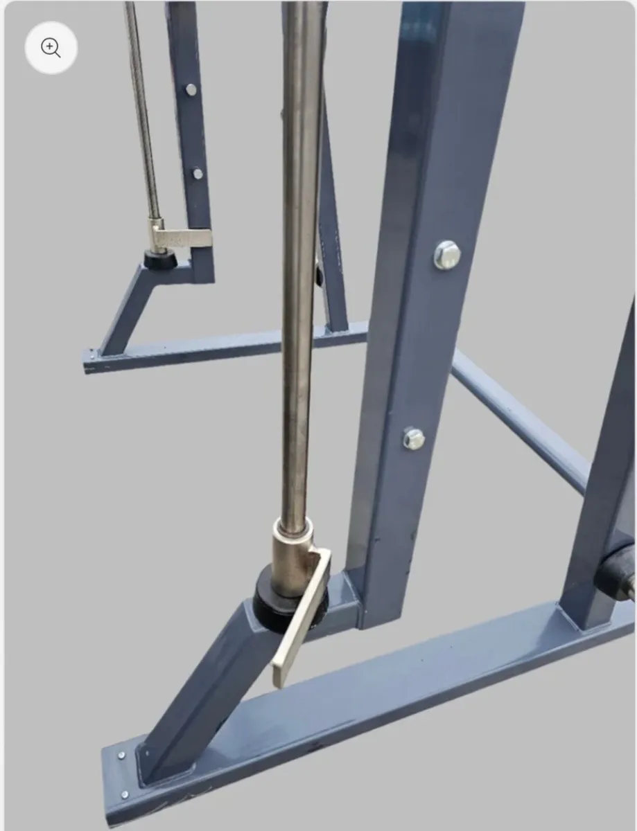Indigo plate loaded smith machine - Image 4